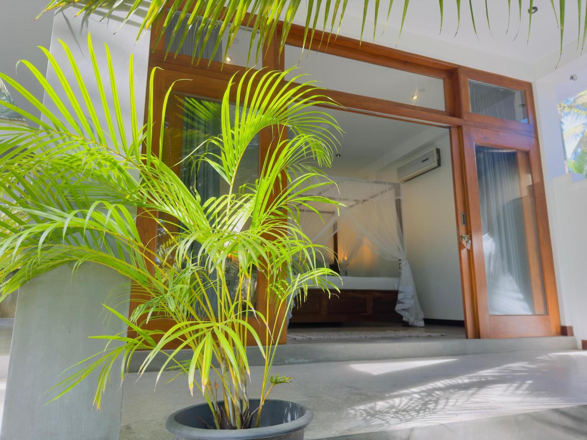 New Ocean Breeze Madiha Hotel Matara Eksteriør billede